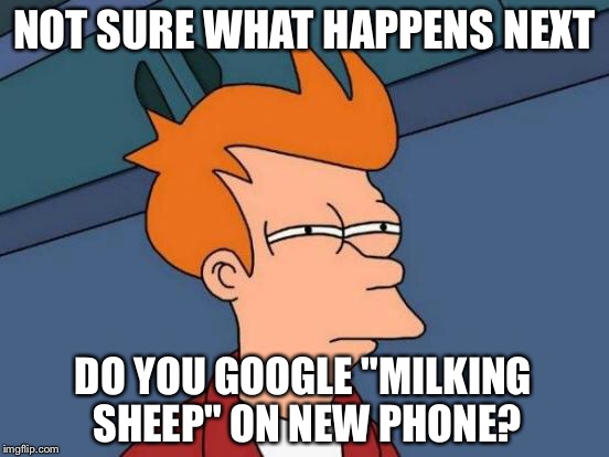 Futurama Fry Meme | NOT SURE WHAT HAPPENS NEXT DO YOU GOOGLE "MILKING SHEEP" ON NEW PHONE? | image tagged in memes,futurama fry | made w/ Imgflip meme maker