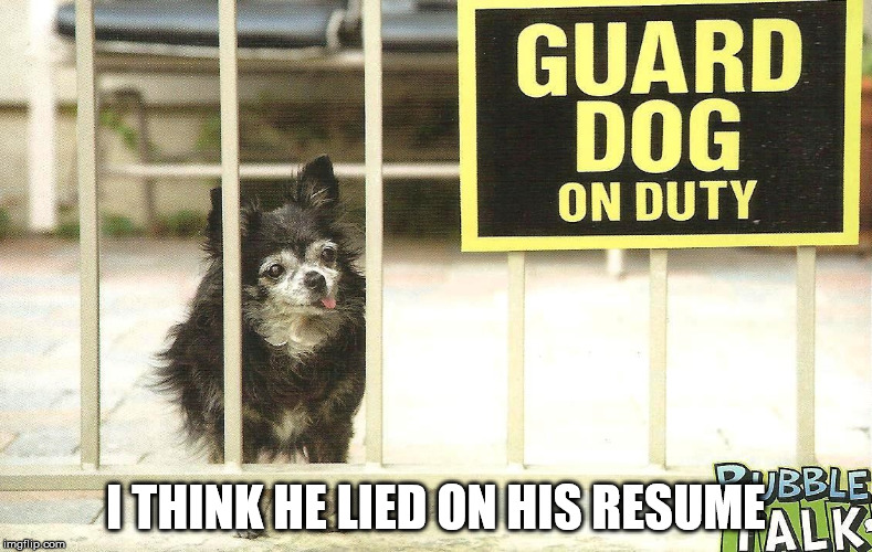 I THINK HE LIED ON HIS RESUME | image tagged in guard dog | made w/ Imgflip meme maker