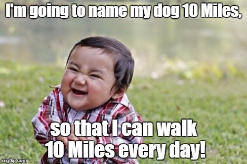 Evil Toddler Meme | I'm going to name my dog 10 Miles, so that I can walk 10 Miles every day! | image tagged in memes,evil toddler | made w/ Imgflip meme maker