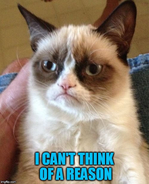 Grumpy Cat Meme | I CAN'T THINK OF A REASON | image tagged in memes,grumpy cat | made w/ Imgflip meme maker
