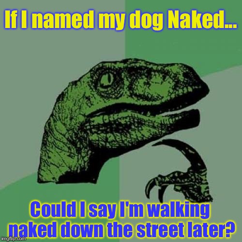 Came up with this while looking at somewhat similar meme! |  If I named my dog Naked... Could I say I'm walking naked down the street later? | image tagged in memes,philosoraptor,naked,funny,dog | made w/ Imgflip meme maker