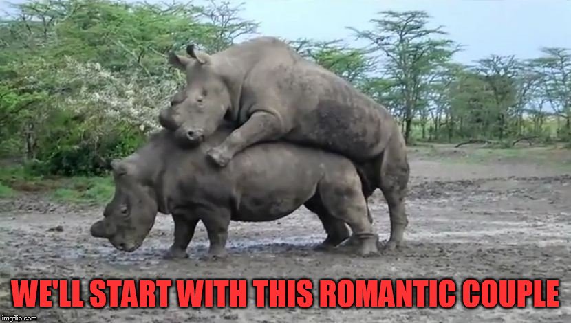 WE'LL START WITH THIS ROMANTIC COUPLE | made w/ Imgflip meme maker