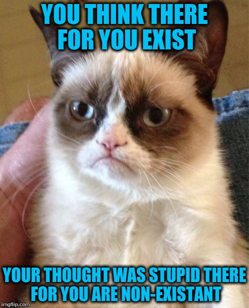 Grumpy Cat's Philosophy On Thoughts | YOU THINK THERE FOR YOU EXIST; YOUR THOUGHT WAS STUPID THERE FOR YOU ARE NON-EXISTANT | image tagged in memes,grumpy cat | made w/ Imgflip meme maker
