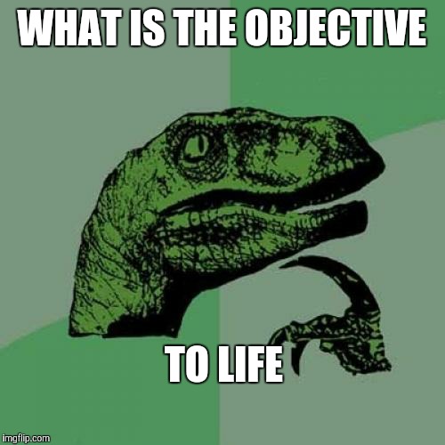 Philosoraptor | WHAT IS THE OBJECTIVE; TO LIFE | image tagged in memes,philosoraptor | made w/ Imgflip meme maker