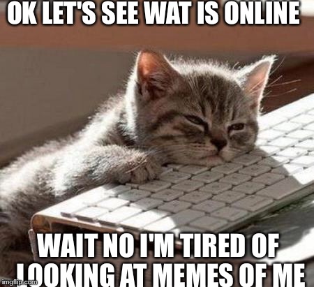 tired cat | OK LET'S SEE WAT IS ONLINE; WAIT NO I'M TIRED OF LOOKING AT MEMES OF ME | image tagged in tired cat | made w/ Imgflip meme maker