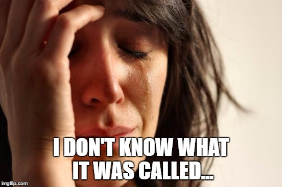 First World Problems Meme | I DON'T KNOW WHAT IT WAS CALLED... | image tagged in memes,first world problems | made w/ Imgflip meme maker