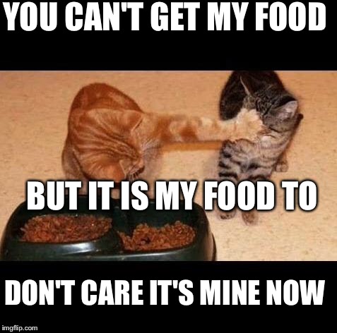 cats share food | YOU CAN'T GET MY FOOD; BUT IT IS MY FOOD TO; DON'T CARE IT'S MINE NOW | image tagged in cats share food | made w/ Imgflip meme maker