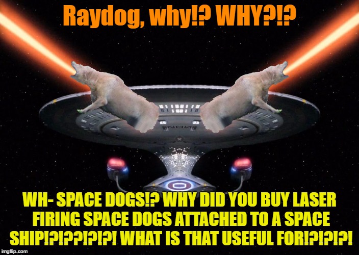 We need to run right now, Raydog's gone insane. | Raydog, why!? WHY?!? WH- SPACE DOGS!? WHY DID YOU BUY LASER FIRING SPACE DOGS ATTACHED TO A SPACE SHIP!?!??!?!?! WHAT IS THAT USEFUL FOR!?!?!?! | image tagged in raydog's laser ship | made w/ Imgflip meme maker