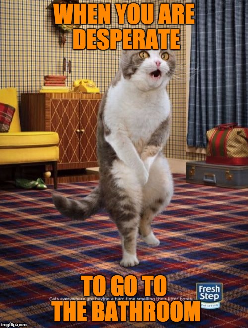 Gotta Go Cat | WHEN YOU ARE DESPERATE; TO GO TO THE BATHROOM | image tagged in memes,gotta go cat | made w/ Imgflip meme maker