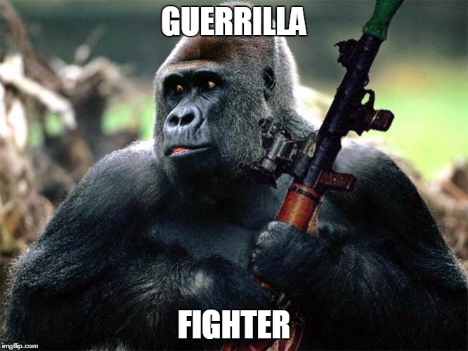 GUERRILLA FIGHTER | made w/ Imgflip meme maker