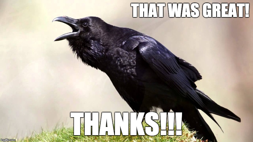 Rave014 | THAT WAS GREAT! THANKS!!! | image tagged in rave014 | made w/ Imgflip meme maker