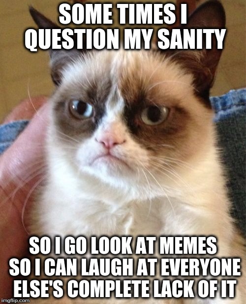 Everyone Lacks Sanity Sometimes | SOME TIMES I QUESTION MY SANITY; SO I GO LOOK AT MEMES SO I CAN LAUGH AT EVERYONE ELSE'S COMPLETE LACK OF IT | image tagged in memes,grumpy cat | made w/ Imgflip meme maker