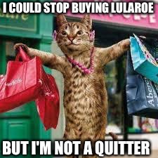 Cat shopping | I COULD STOP BUYING LULAROE; BUT I'M NOT A QUITTER | image tagged in cat shopping | made w/ Imgflip meme maker