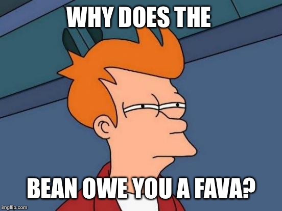 Futurama Fry Meme | WHY DOES THE BEAN OWE YOU A FAVA? | image tagged in memes,futurama fry | made w/ Imgflip meme maker
