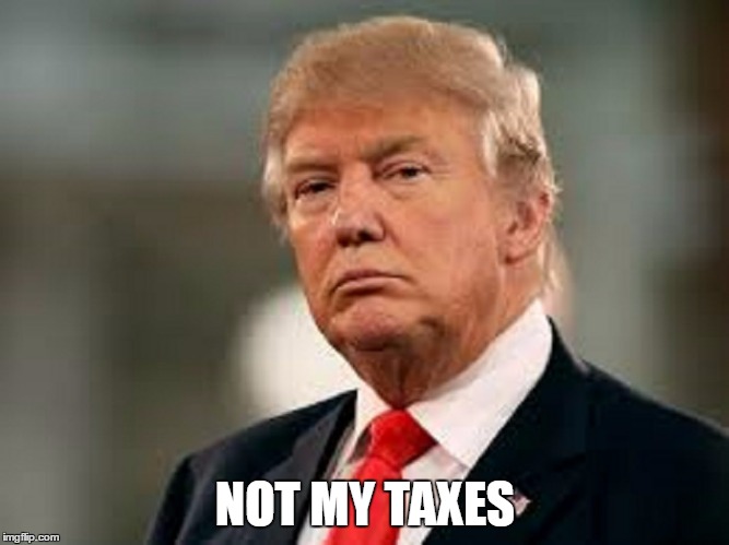 NOT MY TAXES | made w/ Imgflip meme maker