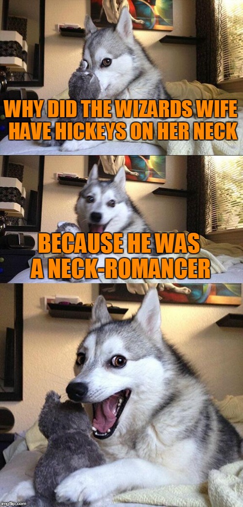 Bad Pun Dog | WHY DID THE WIZARDS WIFE HAVE HICKEYS ON HER NECK; BECAUSE HE WAS A NECK-ROMANCER | image tagged in memes,bad pun dog | made w/ Imgflip meme maker