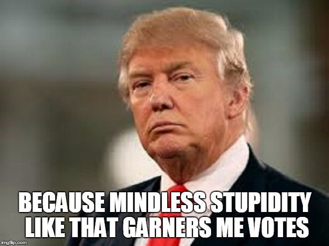 BECAUSE MINDLESS STUPIDITY LIKE THAT GARNERS ME VOTES | made w/ Imgflip meme maker