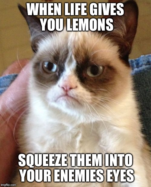 Grumpy Cat Meme | WHEN LIFE GIVES YOU LEMONS; SQUEEZE THEM INTO YOUR ENEMIES EYES | image tagged in memes,grumpy cat | made w/ Imgflip meme maker