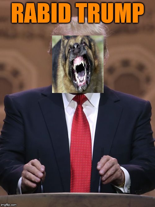Donald Trump | RABID TRUMP | image tagged in donald trump | made w/ Imgflip meme maker