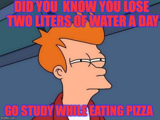 Futurama Fry | DID YOU  KNOW YOU LOSE TWO LITERS OF WATER A DAY; GO STUDY WHILE EATING PIZZA | image tagged in memes,futurama fry | made w/ Imgflip meme maker