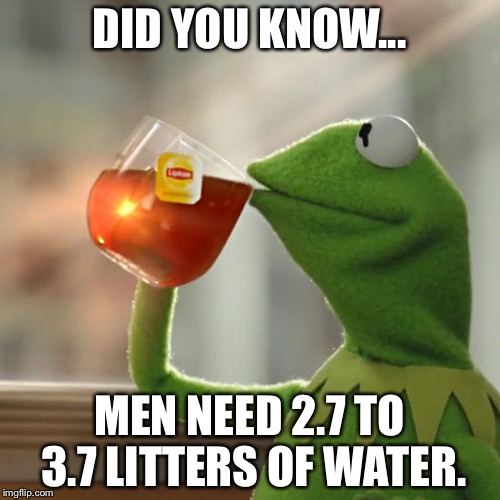 But That's None Of My Business | DID YOU KNOW... MEN NEED 2.7 TO 3.7 LITTERS OF WATER. | image tagged in memes,but thats none of my business,kermit the frog | made w/ Imgflip meme maker