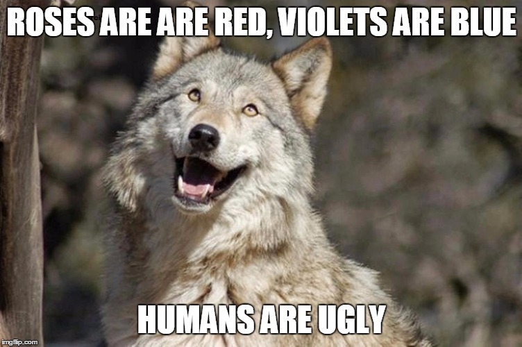 Optimistic Moon Moon Wolf Vanadium Wolf | ROSES ARE ARE RED, VIOLETS ARE BLUE; HUMANS ARE UGLY | image tagged in optimistic moon moon wolf vanadium wolf | made w/ Imgflip meme maker