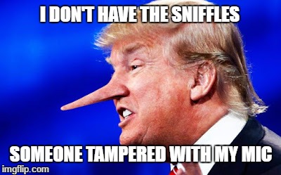 I DON'T HAVE THE SNIFFLES; SOMEONE TAMPERED WITH MY MIC | image tagged in sniffles | made w/ Imgflip meme maker