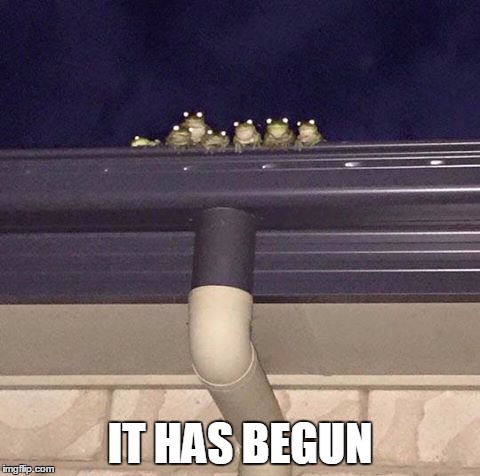 It has begun | IT HAS BEGUN | image tagged in nothing to see here,creepy toads,memes,it has begun | made w/ Imgflip meme maker