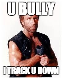 Chuck Norris Flex | U BULLY; I TRACK U DOWN | image tagged in chuck norris | made w/ Imgflip meme maker