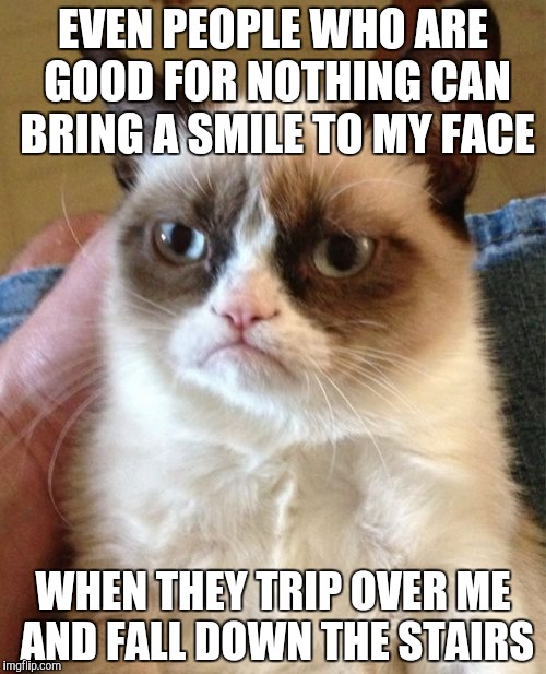 Grumpy Cat's Smile | EVEN PEOPLE WHO ARE GOOD FOR NOTHING CAN BRING A SMILE TO MY FACE; WHEN THEY TRIP OVER ME AND FALL DOWN THE STAIRS | image tagged in memes,grumpy cat,smile,mean | made w/ Imgflip meme maker