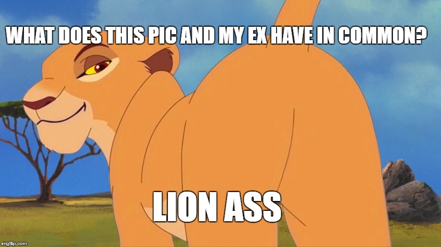 Lying liars | WHAT DOES THIS PIC AND MY EX HAVE IN COMMON? LION ASS | image tagged in lion,ex wife,funny memes,donald trump | made w/ Imgflip meme maker