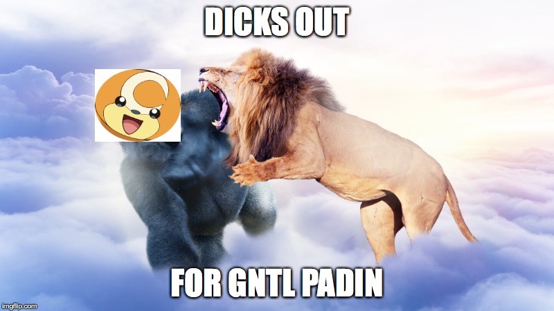 he will not be missed #TFSGaming | DICKS OUT; FOR GNTL PADIN | image tagged in tfs,teamfourstar,nuzlocke,pokemon,dicksoutforharambe | made w/ Imgflip meme maker