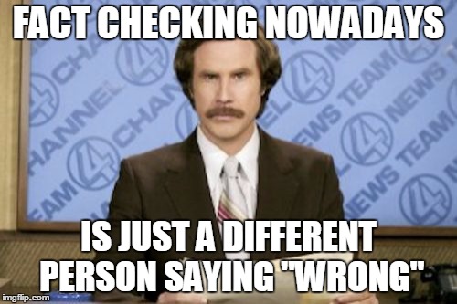 Ron Burgundy | FACT CHECKING NOWADAYS; IS JUST A DIFFERENT PERSON SAYING "WRONG" | image tagged in memes,ron burgundy | made w/ Imgflip meme maker