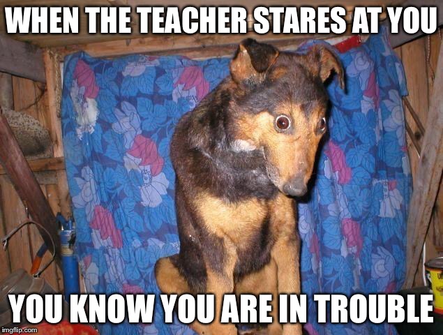 Depression dog mems | WHEN THE TEACHER STARES AT YOU; YOU KNOW YOU ARE IN TROUBLE | image tagged in depression dog mems | made w/ Imgflip meme maker