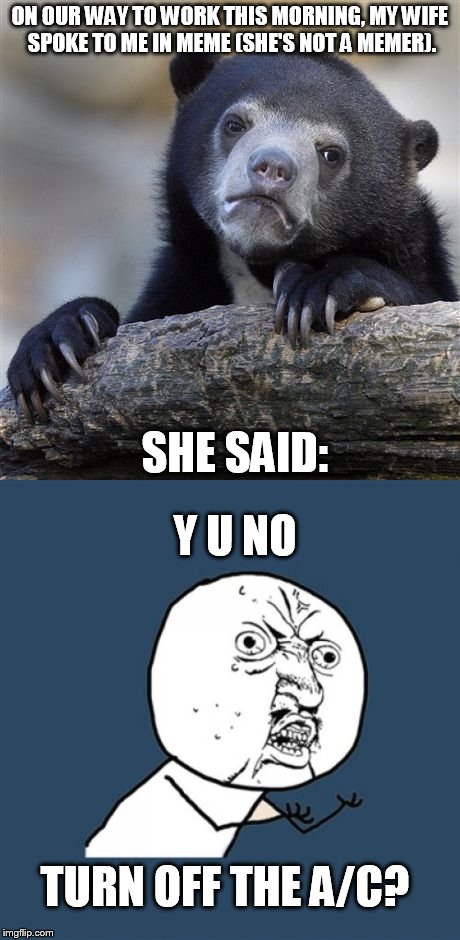 It was 50 degrees outside this morning and she broke this little gem out on me. | ON OUR WAY TO WORK THIS MORNING, MY WIFE SPOKE TO ME IN MEME (SHE'S NOT A MEMER). SHE SAID:; Y U NO; TURN OFF THE A/C? | image tagged in confession bear,y u no | made w/ Imgflip meme maker