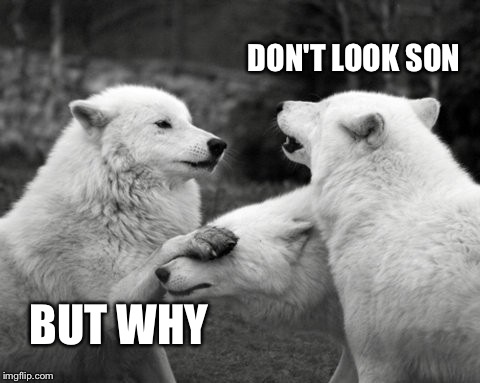 DON'T LOOK SON; BUT WHY | image tagged in wolf | made w/ Imgflip meme maker