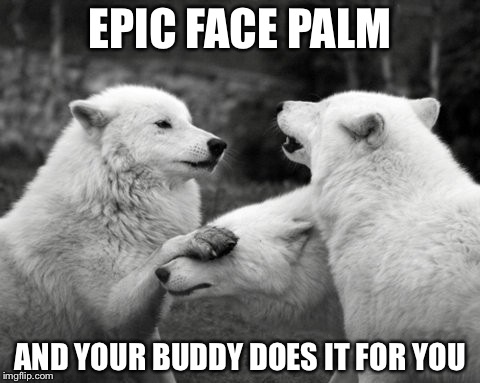 EPIC FACE PALM; AND YOUR BUDDY DOES IT FOR YOU | image tagged in wolf | made w/ Imgflip meme maker