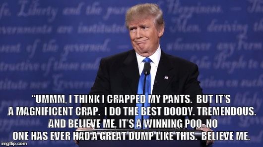 Ummmmmm | “UMMM, I THINK I CRAPPED MY PANTS.  BUT IT’S A MAGNIFICENT CRAP.  I DO THE BEST DOODY. TREMENDOUS.  AND BELIEVE ME, IT’S A WINNING POO. NO ONE HAS EVER HAD A GREAT DUMP LIKE THIS.  BELIEVE ME. | image tagged in donald trump | made w/ Imgflip meme maker