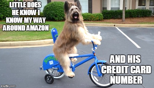 LITTLE DOES HE KNOW I KNOW MY WAY AROUND AMAZON AND HIS CREDIT CARD NUMBER | made w/ Imgflip meme maker