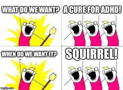 What Do We Want Meme | WHAT DO WE WANT? A CURE FOR ADHD! WHEN DO WE WANT IT? SQUIRREL! | image tagged in memes,what do we want | made w/ Imgflip meme maker