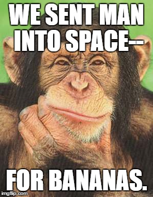 chimpanzee thinking | WE SENT MAN INTO SPACE--; FOR BANANAS. | image tagged in chimpanzee thinking | made w/ Imgflip meme maker
