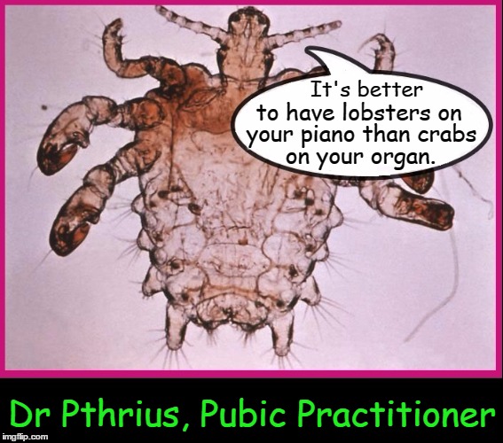 The Crab Doctor is In | It's better; to have lobsters on; your piano than crabs; on your organ. Dr Pthrius, Pubic Practitioner | image tagged in crabs,vince vance,pthrius pubis,crab louse,pyrinate a-200,i got the crabs | made w/ Imgflip meme maker