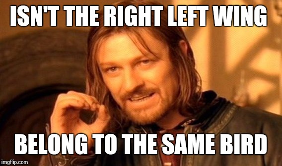 One Does Not Simply Meme | ISN'T THE RIGHT LEFT WING; BELONG TO THE SAME BIRD | image tagged in memes,one does not simply | made w/ Imgflip meme maker