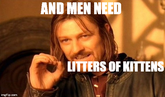 One Does Not Simply Meme | AND MEN NEED LITTERS OF KITTENS | image tagged in memes,one does not simply | made w/ Imgflip meme maker