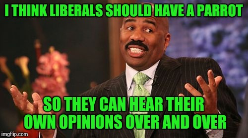 A joke I thought of while arguing with a Hillary supporter, no offense to the cool liberals here :) | I THINK LIBERALS SHOULD HAVE A PARROT; SO THEY CAN HEAR THEIR OWN OPINIONS OVER AND OVER | image tagged in memes,steve harvey | made w/ Imgflip meme maker