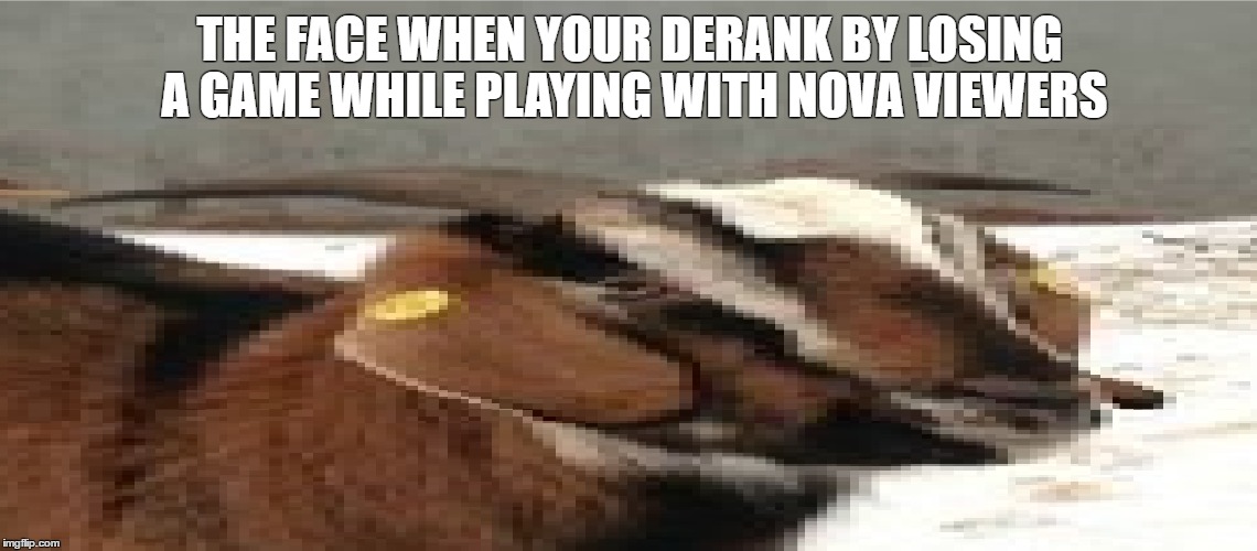 THE FACE WHEN YOUR DERANK BY LOSING A GAME WHILE PLAYING WITH NOVA VIEWERS | made w/ Imgflip meme maker