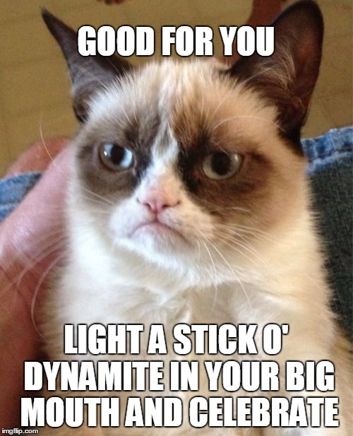 Grumpy Cat Meme | GOOD FOR YOU LIGHT A STICK O' DYNAMITE IN YOUR BIG MOUTH AND CELEBRATE | image tagged in memes,grumpy cat | made w/ Imgflip meme maker