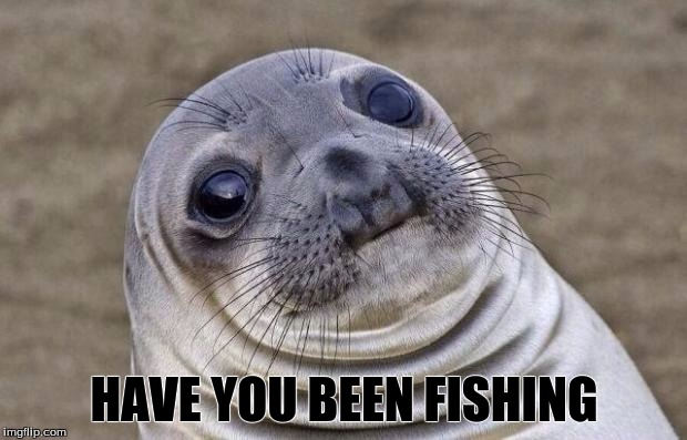 Awkward Moment Sealion Meme | HAVE YOU BEEN FISHING | image tagged in memes,awkward moment sealion | made w/ Imgflip meme maker