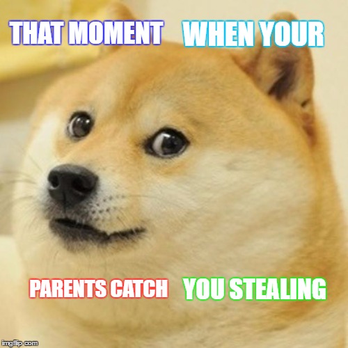Doge Meme | THAT MOMENT; WHEN YOUR; PARENTS CATCH; YOU STEALING | image tagged in memes,doge | made w/ Imgflip meme maker