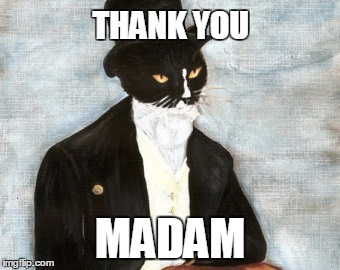 Cat in suit |  THANK YOU; MADAM | image tagged in cat in suit | made w/ Imgflip meme maker